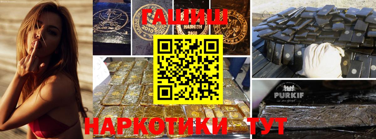 ГАШ Premium Ишим