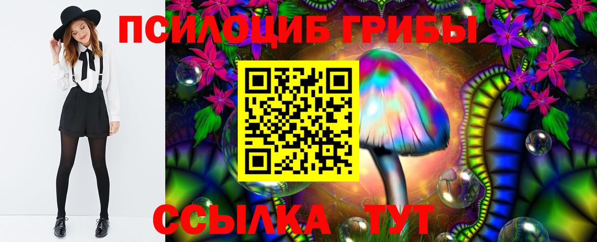 Псилоцибиновые грибы Psilocybe Ишим